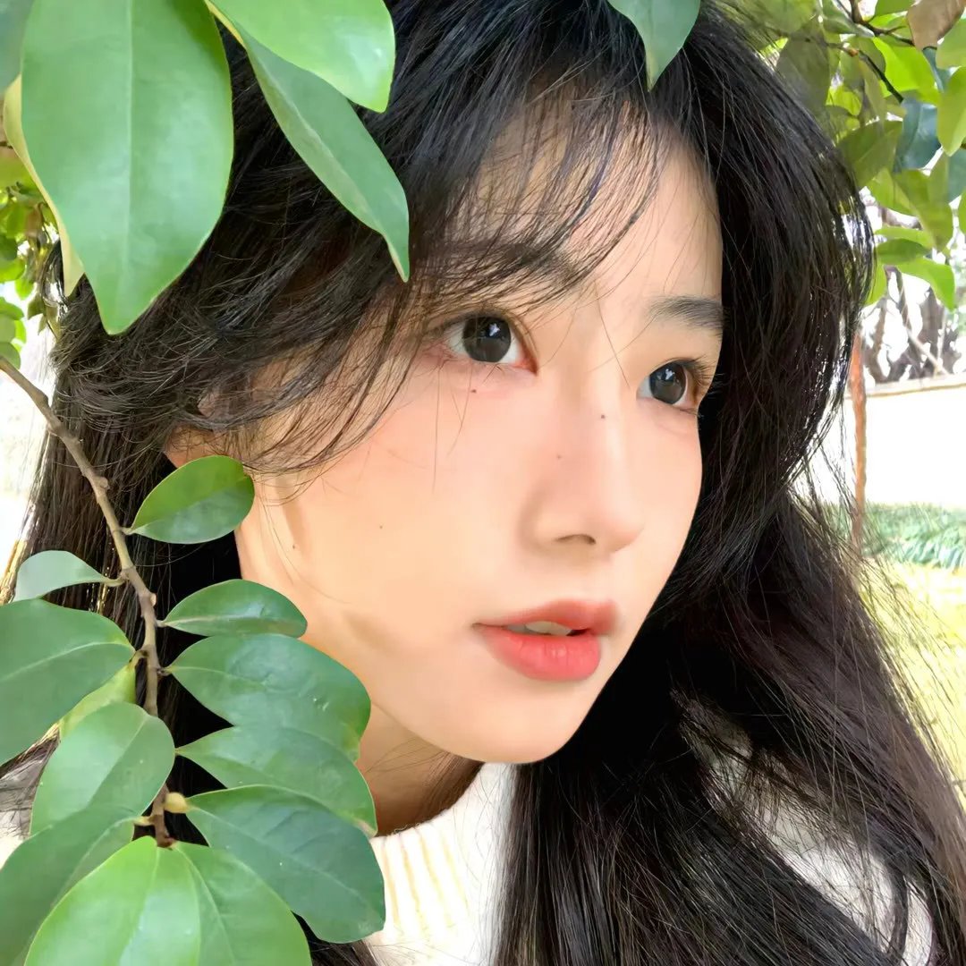 美人遇